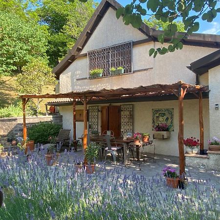 아르치도소 La Colombaia Amiata B&B 외부 사진