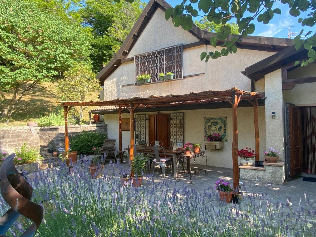 아르치도소 La Colombaia Amiata B&B 외부 사진