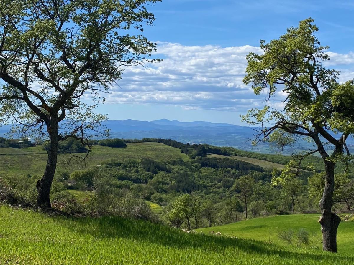 아르치도소 La Colombaia Amiata B&B 외부 사진