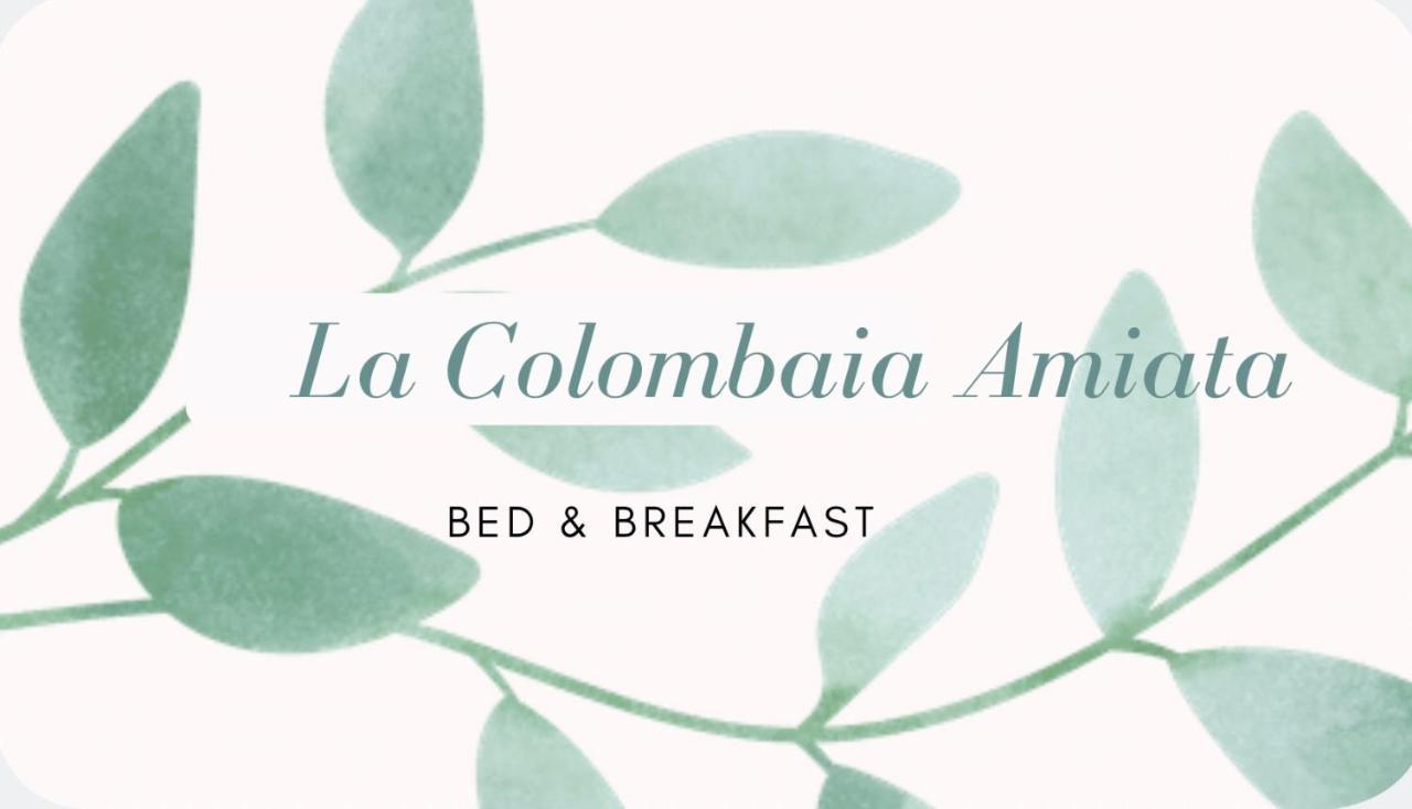 아르치도소 La Colombaia Amiata B&B 외부 사진